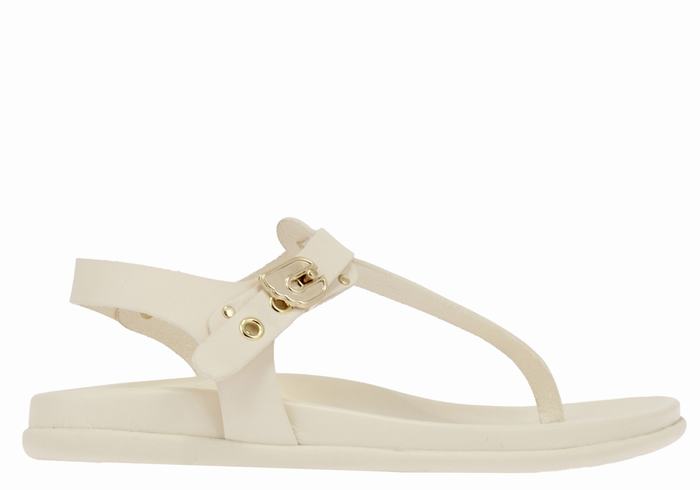 Sandales Bride Arrière Ancient Greek Sandals Alki Flip Flop   | WIY-5773476